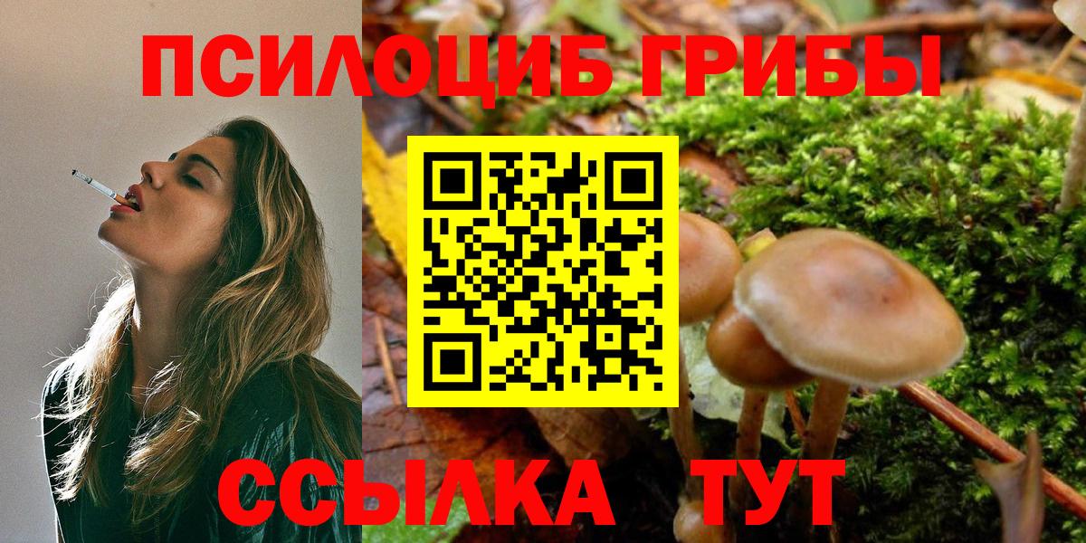 Псилоцибиновые грибы Cubensis  купить наркотики цена  Кореновск  Вход с VPN 